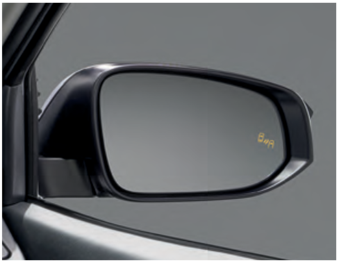 blind-spot-monitor